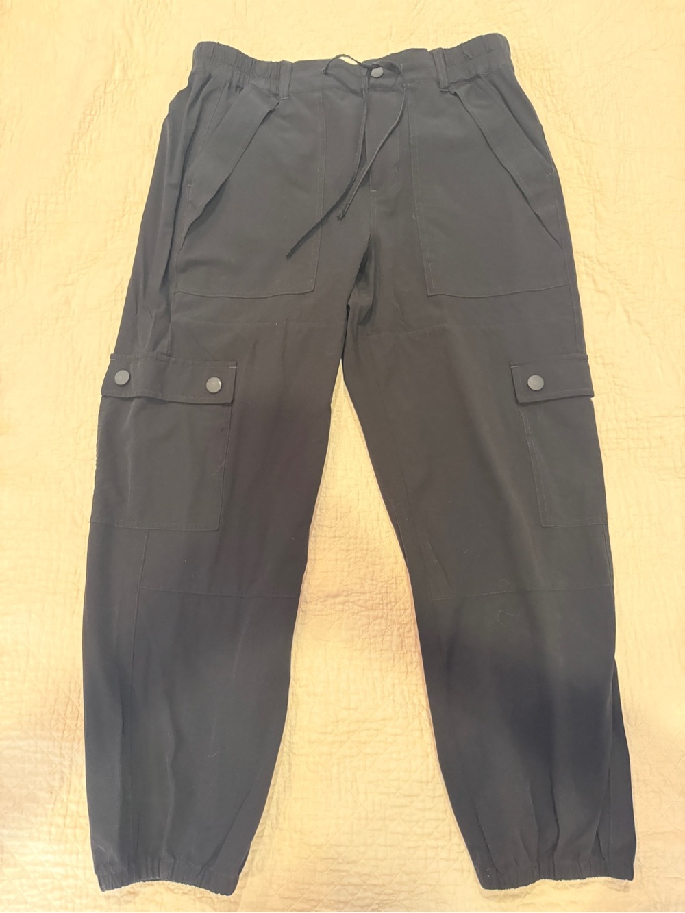 Cabi Joggers